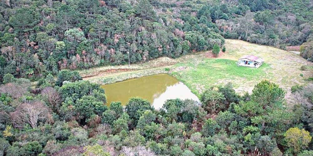 WhatsApp Image 2025-02-03 at 09.53.21