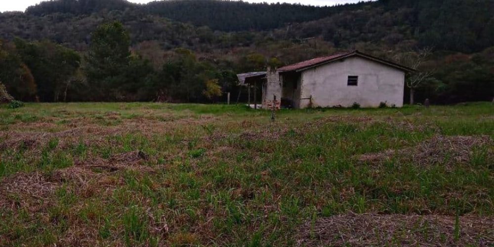 WhatsApp Image 2025-02-03 at 09.53.23 (2)