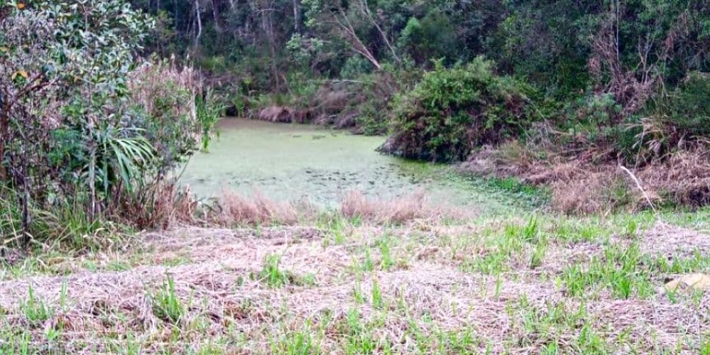 WhatsApp Image 2025-02-03 at 09.53.24 (1)