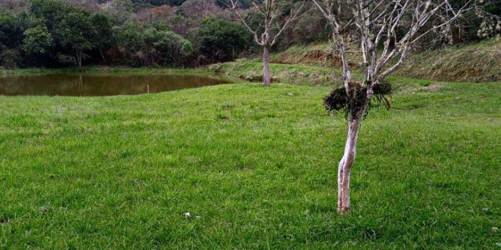 WhatsApp Image 2025-02-03 at 09.53.25