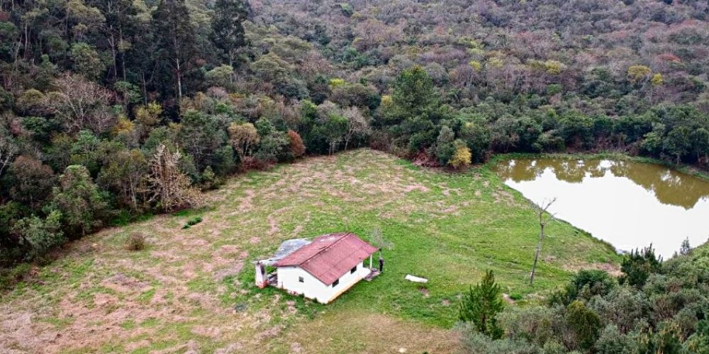 WhatsApp Image 2025-02-03 at 09.53.26 (1)