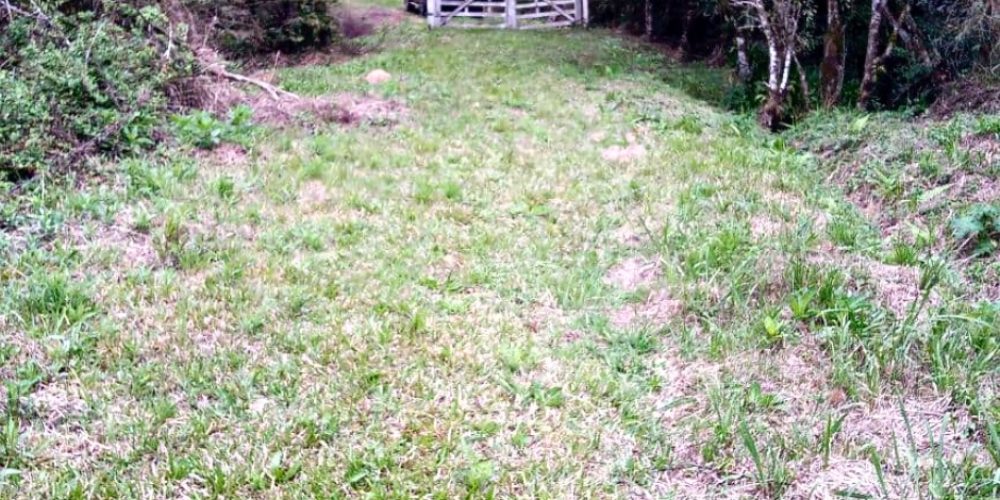 WhatsApp Image 2025-02-03 at 09.53.26