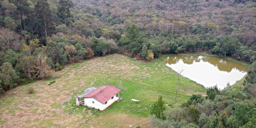 WhatsApp Image 2025-02-03 at 09.53.27 (1)