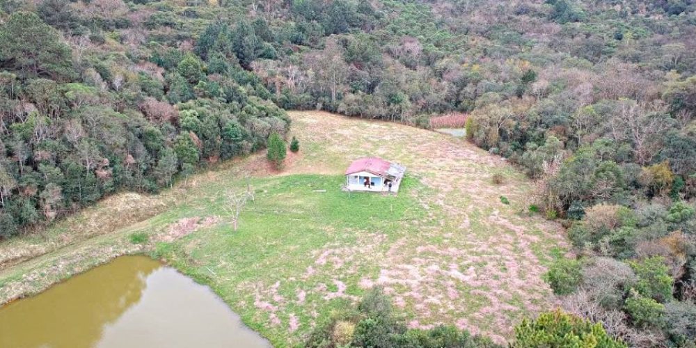 WhatsApp Image 2025-02-03 at 09.53.27 (2)