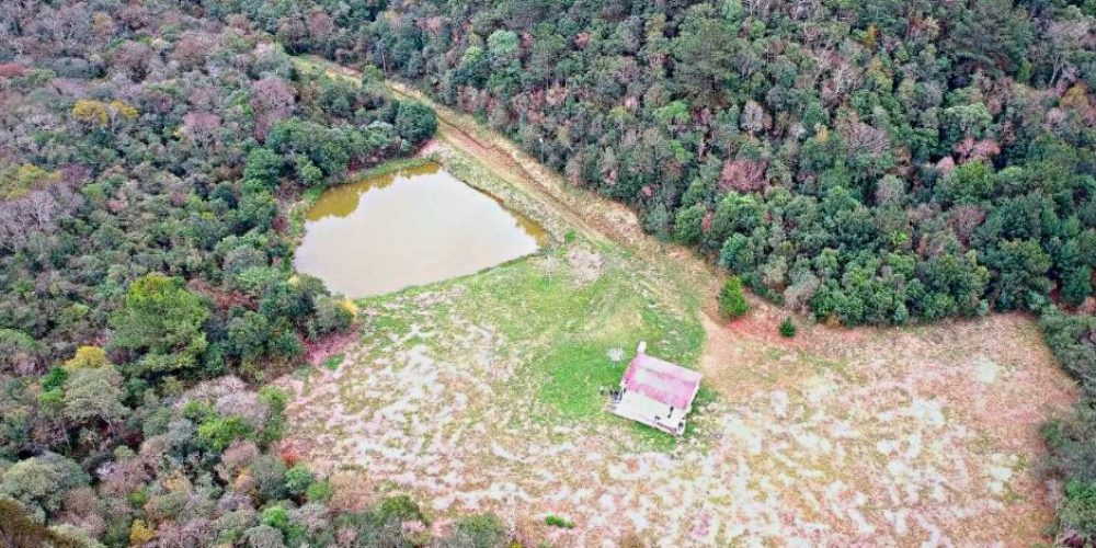 WhatsApp Image 2025-02-03 at 09.53.27