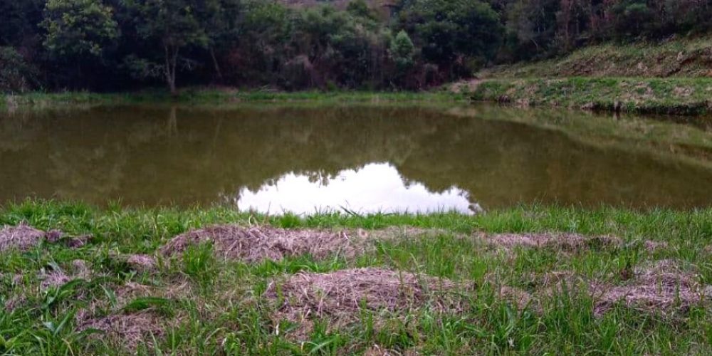 WhatsApp Image 2025-02-03 at 09.53.28