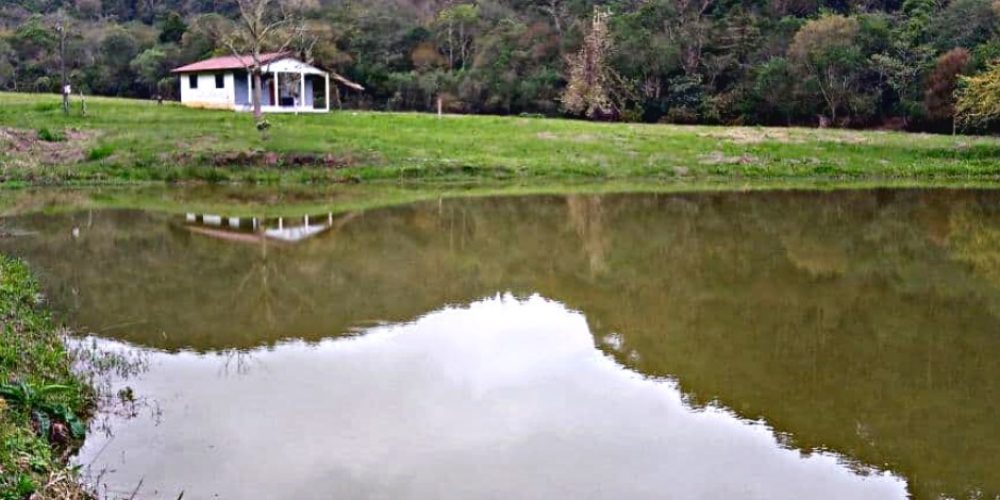 WhatsApp Image 2025-02-03 at 09.53.30