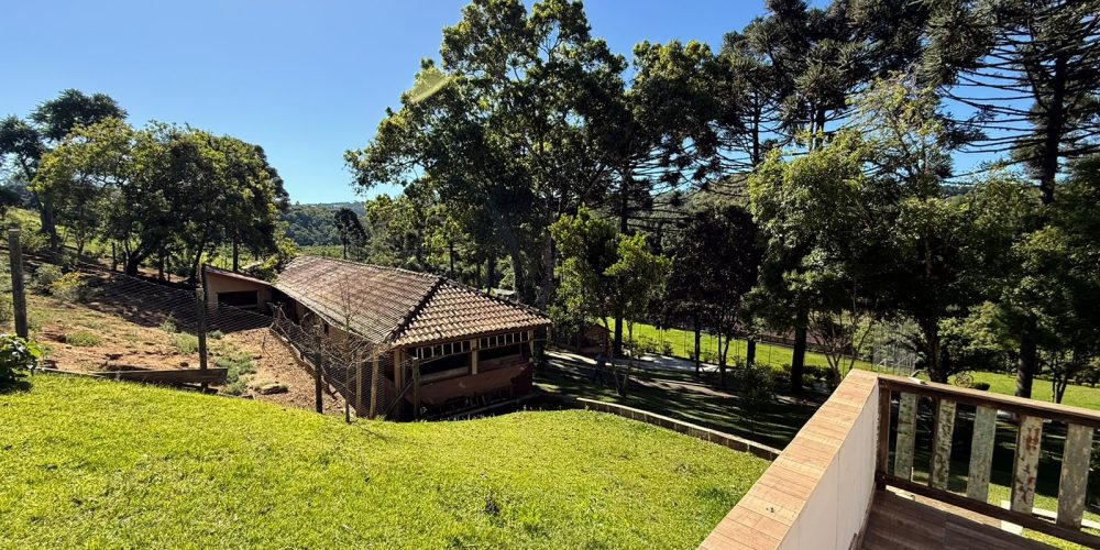 WhatsApp Image 2025-12-17 at 13.52.51 (1)