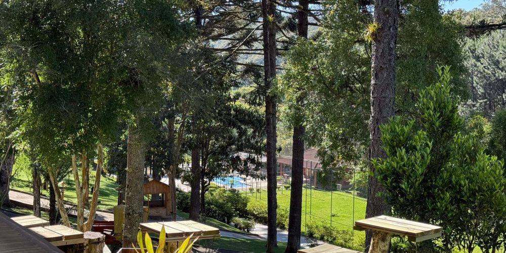 WhatsApp Image 2025-12-17 at 13.52.51 (3)