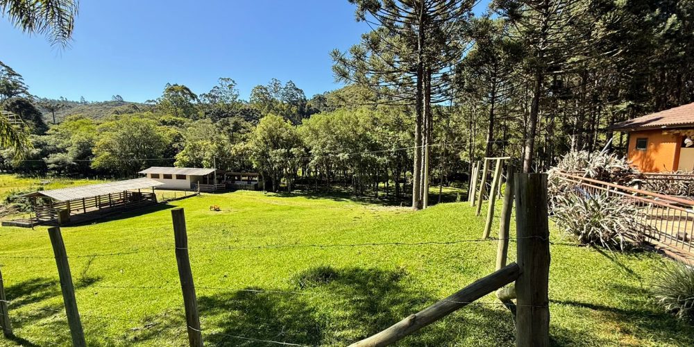 WhatsApp Image 2025-12-17 at 13.53.04