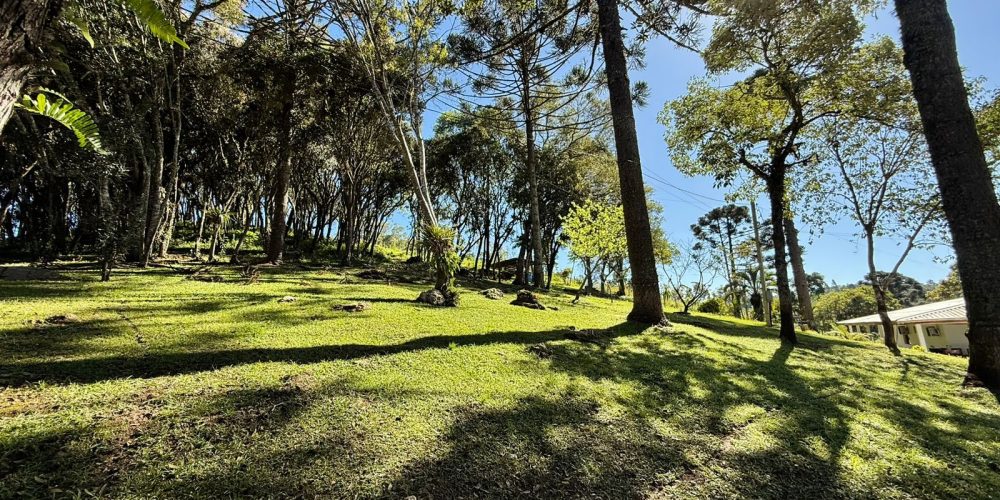 WhatsApp Image 2025-12-17 at 13.53.05 (1)