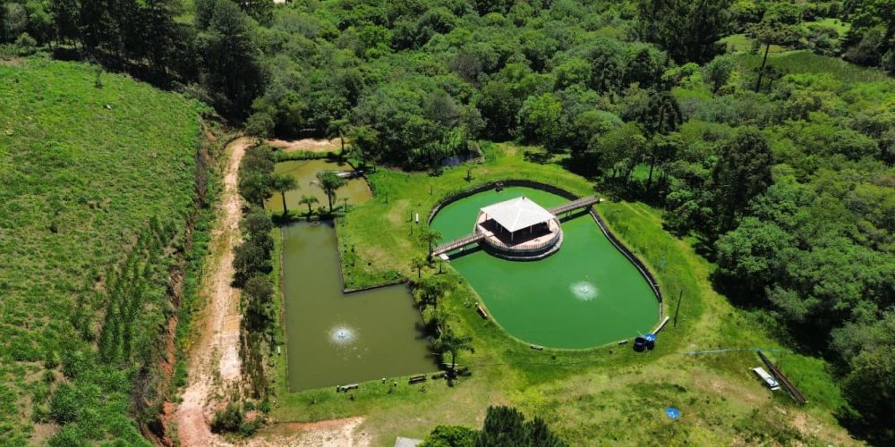 WhatsApp Image 2025-12-17 at 13.53.09 (1)