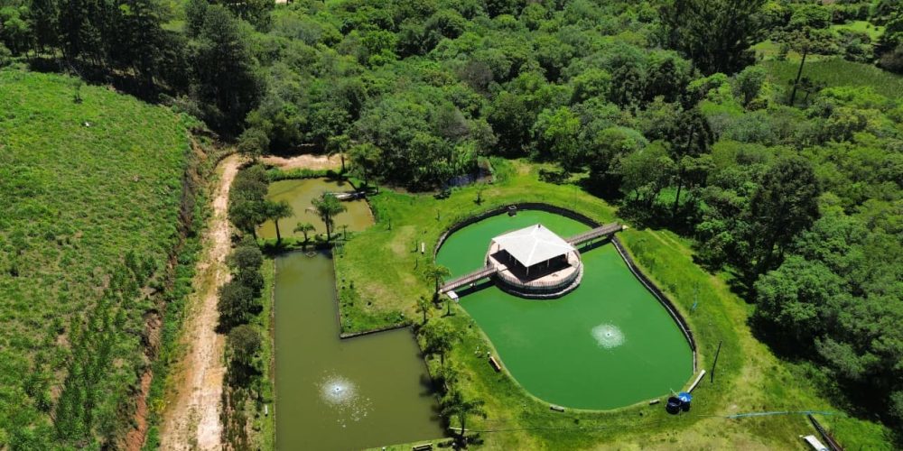 WhatsApp Image 2025-12-17 at 13.53.09