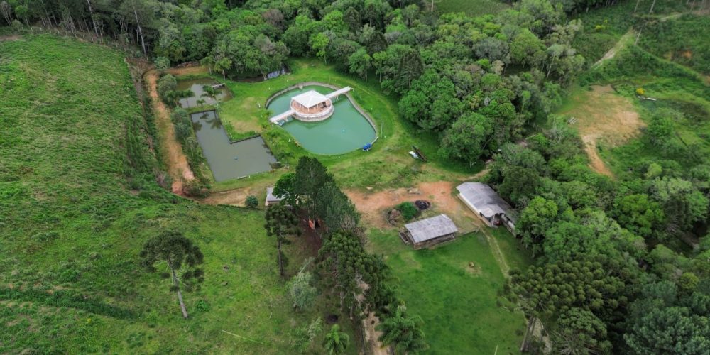 WhatsApp Image 2025-12-17 at 13.53.18