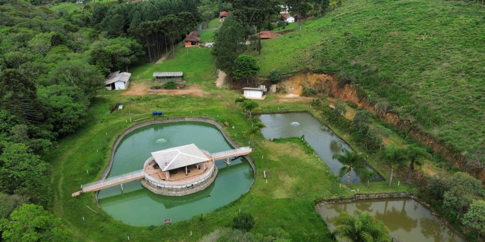 WhatsApp Image 2025-12-17 at 13.53.19 (1)