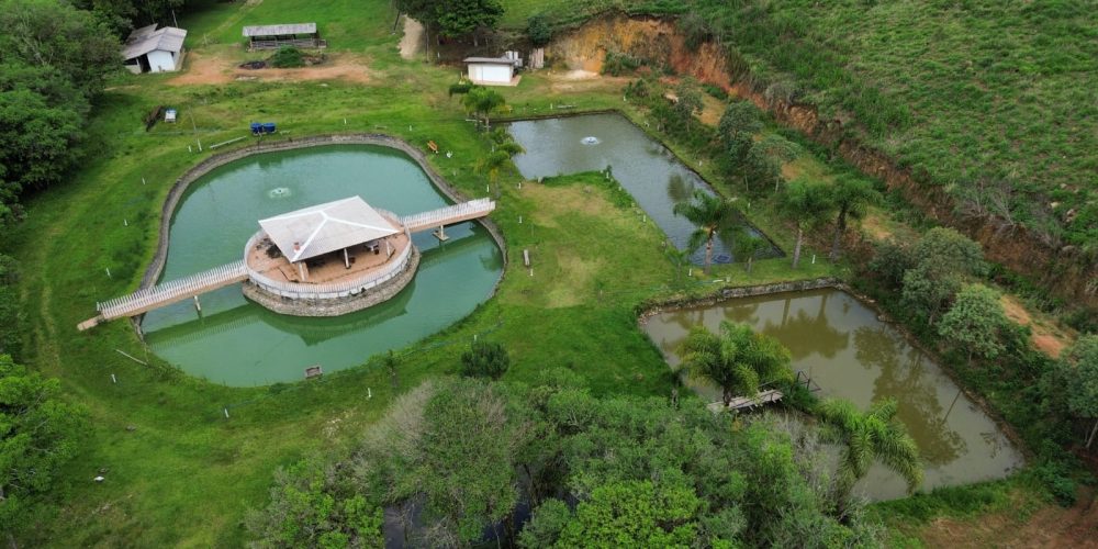 WhatsApp Image 2025-12-17 at 13.53.20 (1)