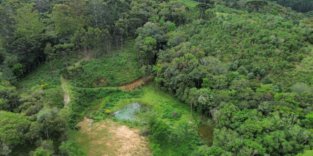 WhatsApp Image 2025-12-17 at 13.53.20 (4)