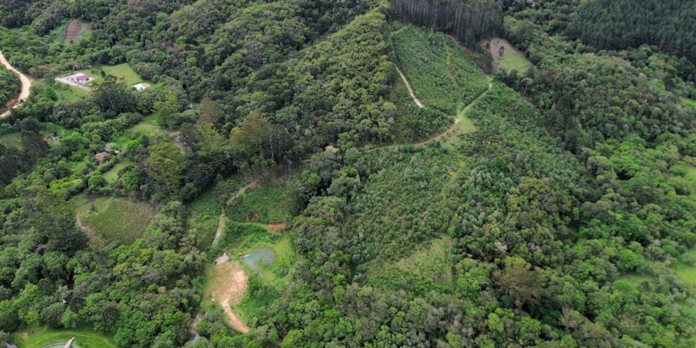 WhatsApp Image 2025-12-17 at 13.53.21 (2)