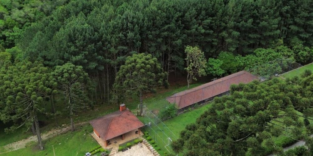 WhatsApp Image 2025-12-17 at 13.53.22 (3)