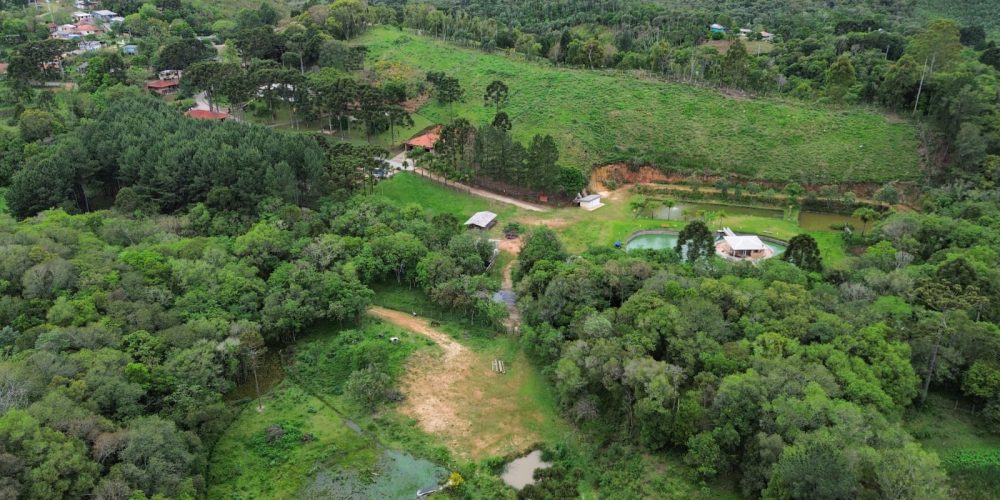 WhatsApp Image 2025-12-17 at 13.53.23 (1)