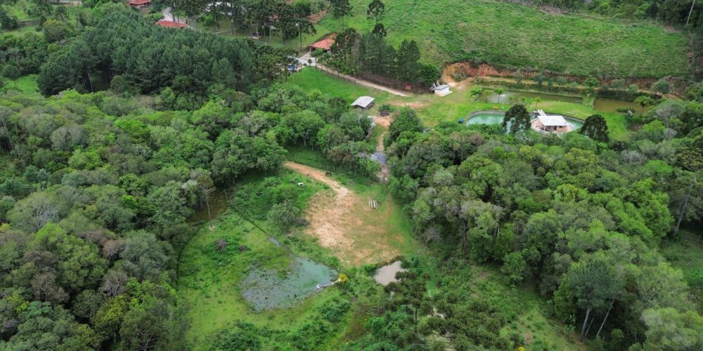 WhatsApp Image 2025-12-17 at 13.53.23