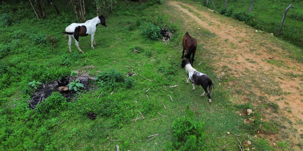 WhatsApp Image 2025-12-17 at 13.53.24