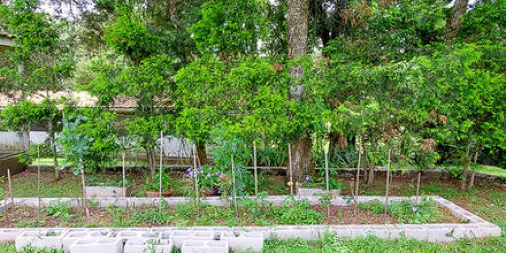 d4a8f6_14e2adff9d14404da6339cbac107d5c3mv2