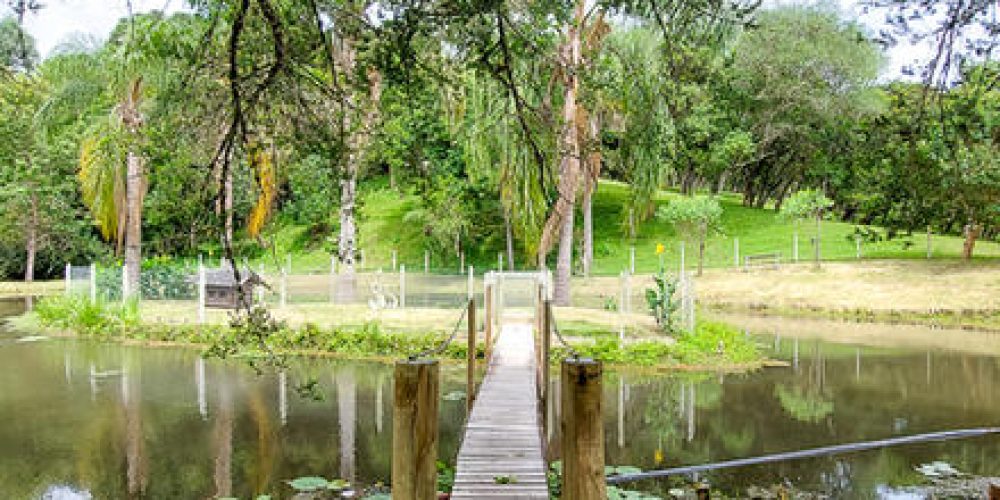 d4a8f6_3b39436eb81b49d087f84113c865b696mv2