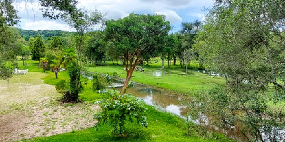 d4a8f6_3e36eabeccb643cfa331f3f0052e22e6mv2