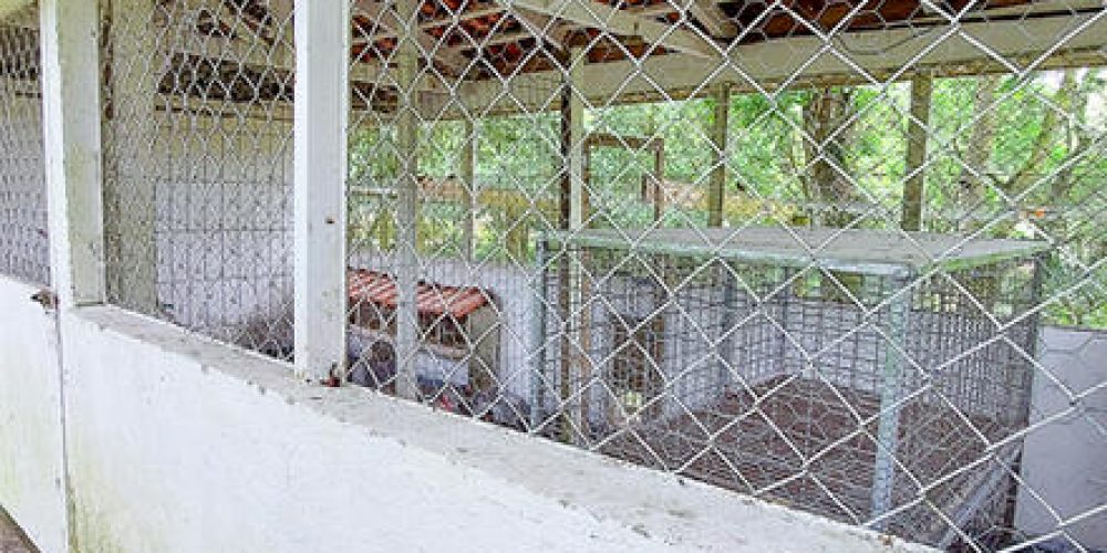 d4a8f6_89675b514c614e02b2118f90adc802bemv2