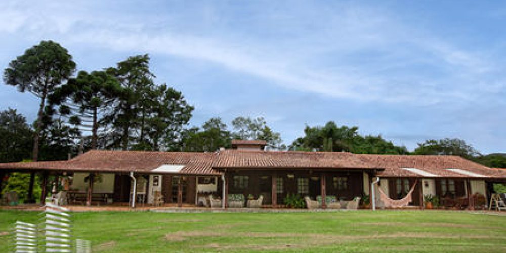 d4a8f6_cfe463413d504c25996eec7874dcc6afmv2