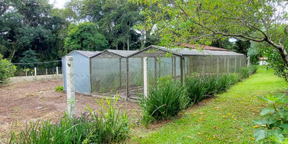 d4a8f6_d19e823d2a8d44c799e7f68c640d5ab4mv2